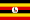 Uganda Gay Video Chat